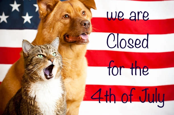 Blog Banner for 4th july