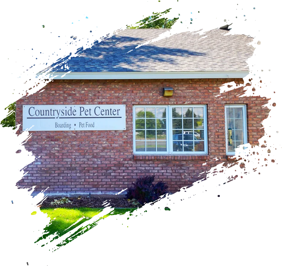 Pet Center Office