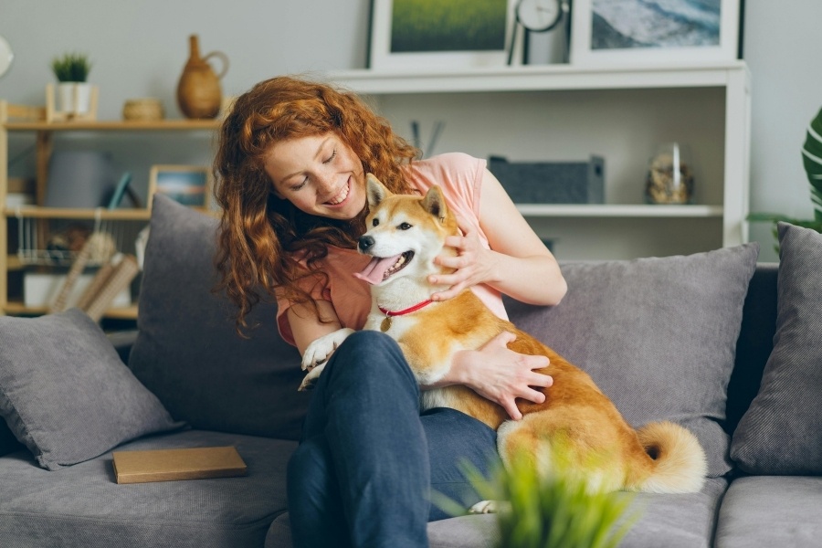 pet-preventative-care