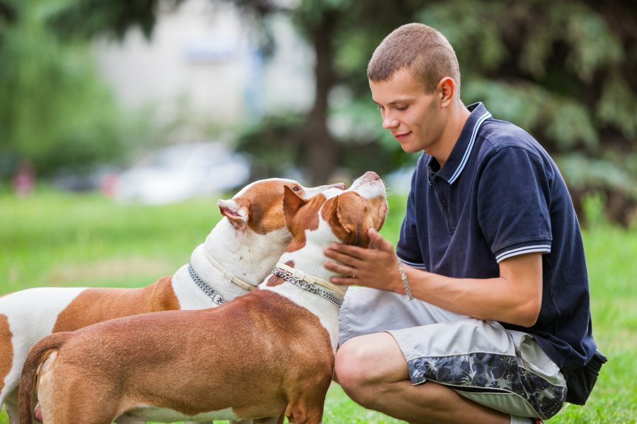 preventive-pet-care-routine